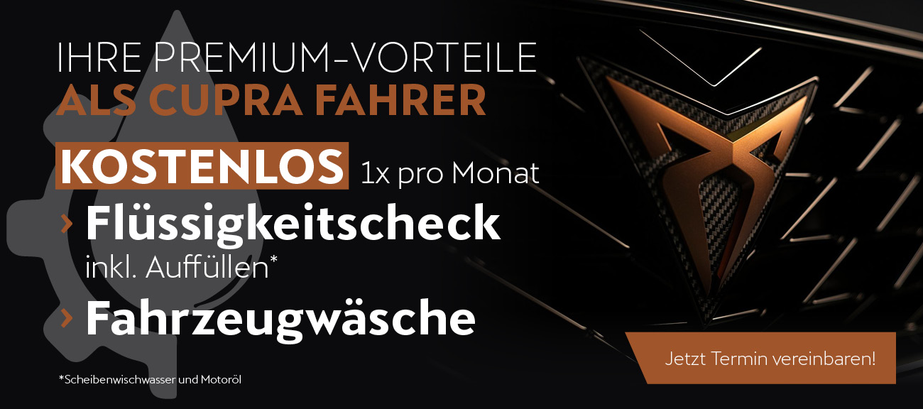 Cupra Premium Service